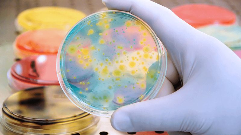 许多科研人员在选择引物合成纯化方法时存在以下误区：