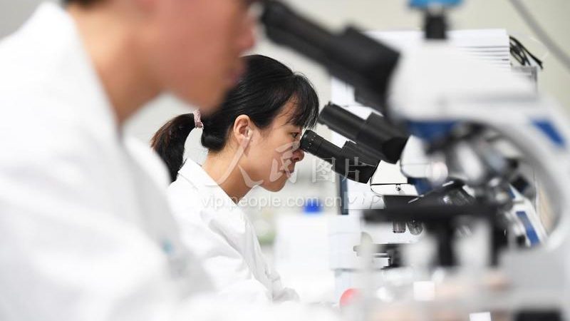 实验室塑料耗材定制流程解析：从需求到成品，揭秘关键环节
