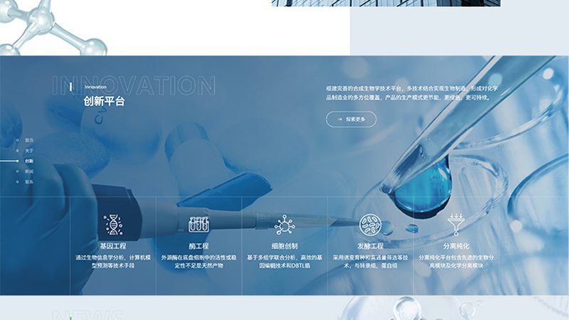 CDMO定制研发生产厂家：揭秘药物研发背后的“隐形英雄
