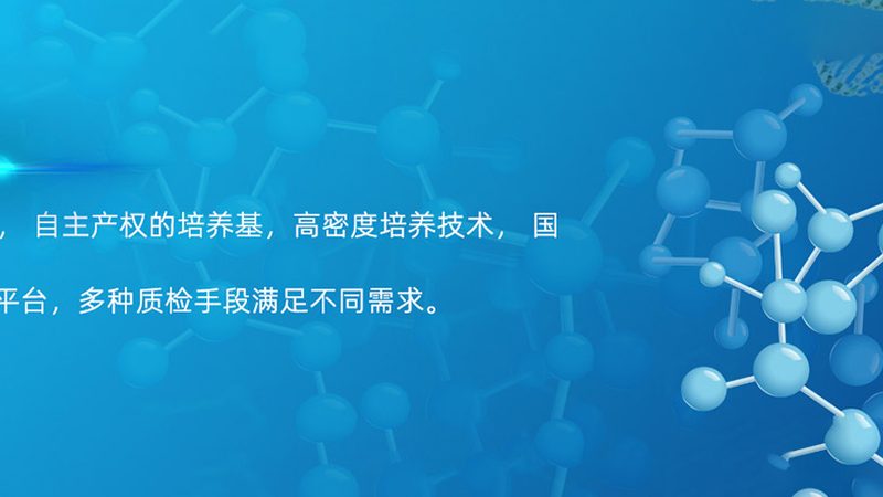 工业酶制剂：如何选择合适的厂家**