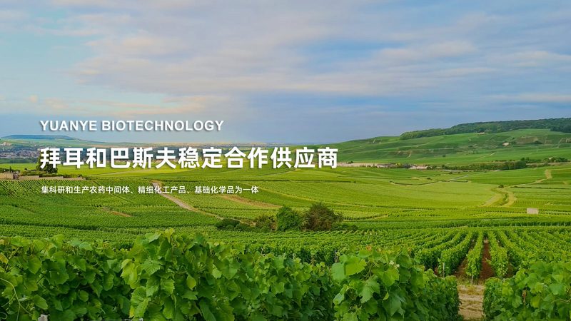 酶制剂：如何正确解读使用说明书**