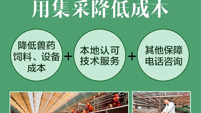 基因测序服务报价：解码精准医疗的成本密码