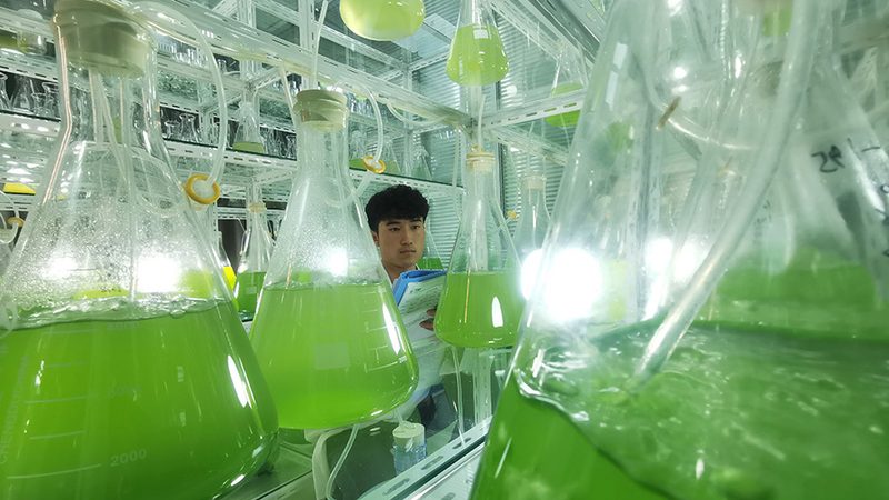离心管生产流程：揭秘实验室必备耗材的诞生之路**